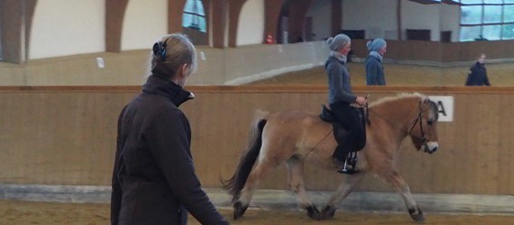 Petra Köcke im Unterricht : Reiten in Balance - pferdegerechte Ausbildung nach klassischen Grundsätzen