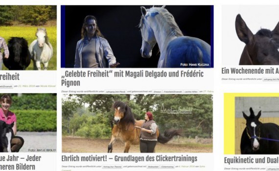 International bekannte Pferdetrainer - tolle Reitkurse