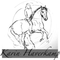 Reitunterricht Karin Haverkamp