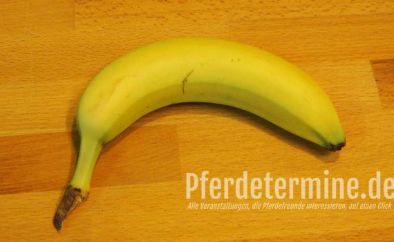 Vortrag Petra Köpcke Seitengänge