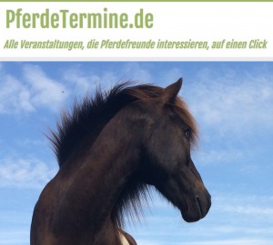 Suche nach Pferdeveranstaltungen in deiner Nähe