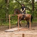 Öffentliches Training Trailelemente im Dressurtraining