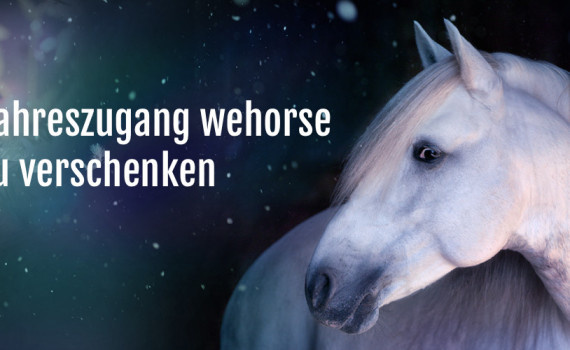 Gewinne auf PferdeTermine.de