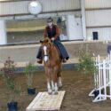 Working Equitation-Kurs mit Liz Roos, 4./5.7.26, südwestl. von Berlin, bei Beelitz